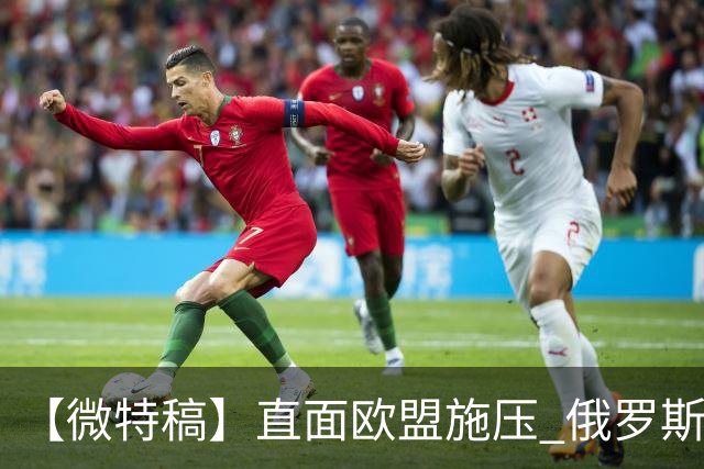 【微特稿】直面欧盟施压 俄罗斯与斯洛伐克欲加强合作