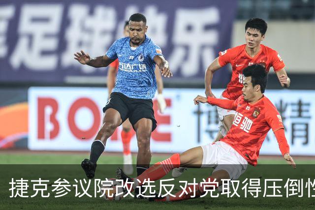 捷克参议院改选反对党取得压倒性胜利