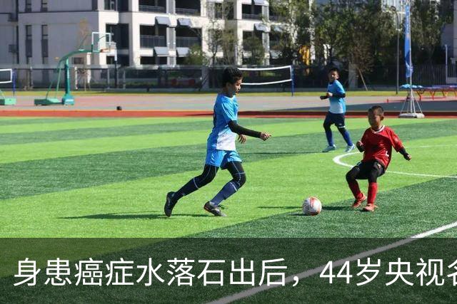 身患癌症水落石出后，44岁央视名嘴杨帆，如今换了另一条路走